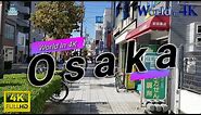 Osaka in 4K + Facts + Geography info 📌