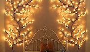 Enchanted Willow Vine 9.5FT, 160 LEDs Vines for Room Decor with Remote, Vine Lights for Wall Home Decorations with 20 Clips & Tapes, Plug in, 1 PC