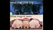 Harry Potter memes | Memes only Potterheads understand | Part-1 | Harry Potter World