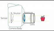 Camera Basics - Anatomy of a Camera