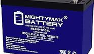 Mighty Max Battery 12v 100ah gel battery