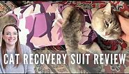 🐱Cat Recovery Suit After Surgery: The Ultimate E-Collar Alternative!🐾