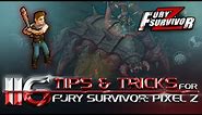 116 Tips and Tricks for Fury Survivor: Pixel Z. English Guide