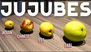 Jujubes! - What are they and what are the different types? (Chinese, Thai & Indian Jujube)