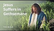 Matthew 26 | The Savior Suffers in Gethsemane | The Bible