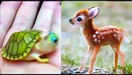 20 Cutest Baby Animals You Need To Pet
