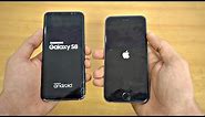 Samsung Galaxy S8 vs iPhone 6S - Speed Test! (4K)