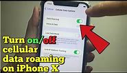 How to turn on or off cellular data roaming on iPhone X