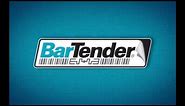 BarTender Software Data Sources (Label Tutorial)