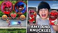 SONIC.EXE AND AMY ROSE.EXE BREAK UP ON CAMERA!! (KNUCKLES AND AMY GET TOGETHER)