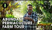 Beautiful 1-Acre Small Scale Permaculture Property | Limestone Permaculture Farm Tour