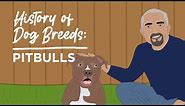 History of Dog Breeds: Pitbulls