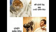 Fb funny post | Sinhala joke post 30 / Nittawa