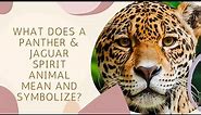 What Do Panther and Jaguar Spirit Animals Mean and Symbolize?