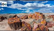 Petrified Forest National Park