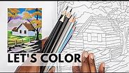 Bob Ross Color-By-Number (COLOR ALONG) | Adult Coloring
