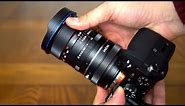 Venus Optics 'Laowa' Magic Shift Converter review (with 12mm f/2.8 lens)