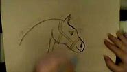 How to draw a cartoon horse...