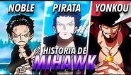 Dracule MIHAWK: ¡El DOLOR de ser el MEJOR ESPADACHIN! | One Piece Historia y Evolución