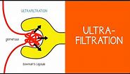 2.1 Renal: Ultrafiltration