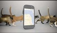 Sprint - Nexus S™ 4G Cats