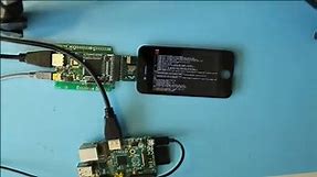 Using Cell Phone Screens With Any HDMI Interface
