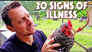 20 Signs That Your Chicken Is Sick. You Need To Know Them ALL!