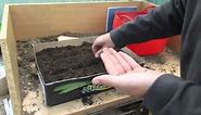 How to Grow Vegetables Cheaply in Cardboard Boxes