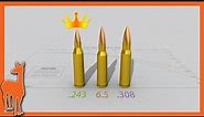 Why .243 Winchester is still my favorite cartridge | 243 Win vs 6mm Creedmoor 6.5 Creedmoor 308 Win