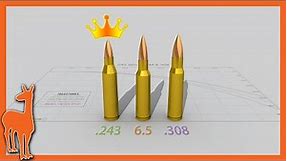 Why .243 Winchester is still my favorite cartridge | 243 Win vs 6mm Creedmoor 6.5 Creedmoor 308 Win