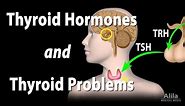 Thyroid Gland, Hormones and Thyroid Problems, Animation