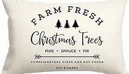 RABUSOFA Farm Fresh Christmas Tree Pillows Covers 12x20 Inch,Black and White Christmas Saying Decorations Winter Decorative Throw Pillow Cases,Farmhouse Holiday Xmas Lumbar Cushion Covers for Couch