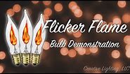 Flicker Flame Christmas Light Bulb Demonstration