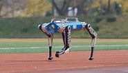 KAIST's AI robot breaks 100-meter world record