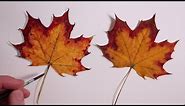 How to Draw a Autumn Leaf: Realism Challenge #1