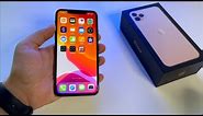 iPhone 11 Pro Max Gold 256 GB - review - a perfect phone for 2021?