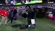 Ravens mascot Poe comes back from his preseason injury to hype up the crowd