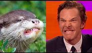 Benedict Cumberbatch’s resemblance to an otter – The Graham Norton Show: Series 18 Episode 9 – BBC