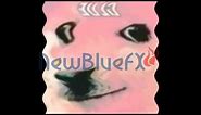Glue Meme Doge Effects #1