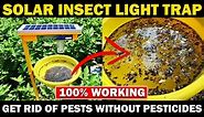 SOLAR INSECT LIGHT TRAP / SOLAR PEST TRAP | 100% Effective Way to Get Rid of All Insects & Pests