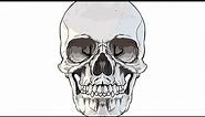 How To Draw A Realistic Skull - How To Make Your Drawings Drawings Look Realistic?