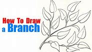 How to Draw a Tree Branch