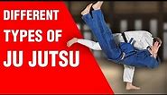 Different Types of Ju Jutsu | ART OF ONE DOJO
