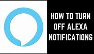 How to Turn Off Alexa Notifications