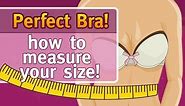 Perfect bra: How to find out your cup size, bra size, band size, bust size!