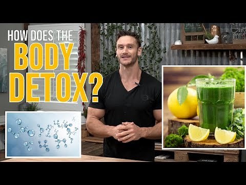 How Does the Body Detox? How Wheat Grass Can Help Remove Toxins by Thomas DeLauer