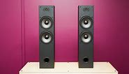 Dayton Audio T652-AIR review: So much speaker, so little money