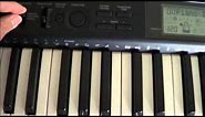 Casio CTK-1100 Electronic Keyboard Review and Demo