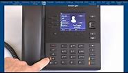 Mitel 6867i Phone: How to Use Hold and Mute