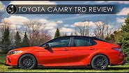 2020 Toyota Camry TRD | You Can't Have Everything